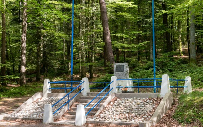 Le Monument Américain dans la forêt de l'Helledraye ©Philippe POIX