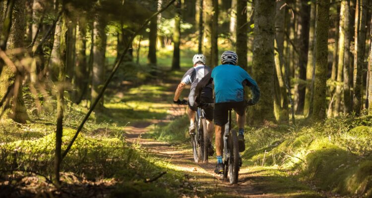 VTT dans les Vallons des Vosges