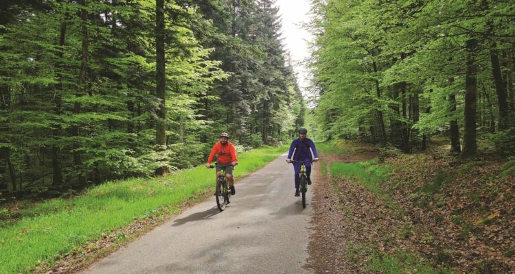 VTC dans les Vallons des Vosges