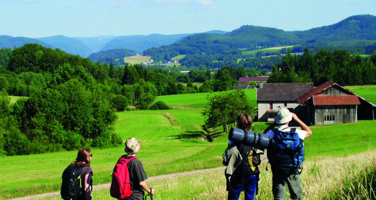 Les accompagnateurs en montagne
