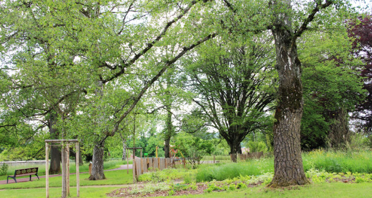 Parks and Gardens