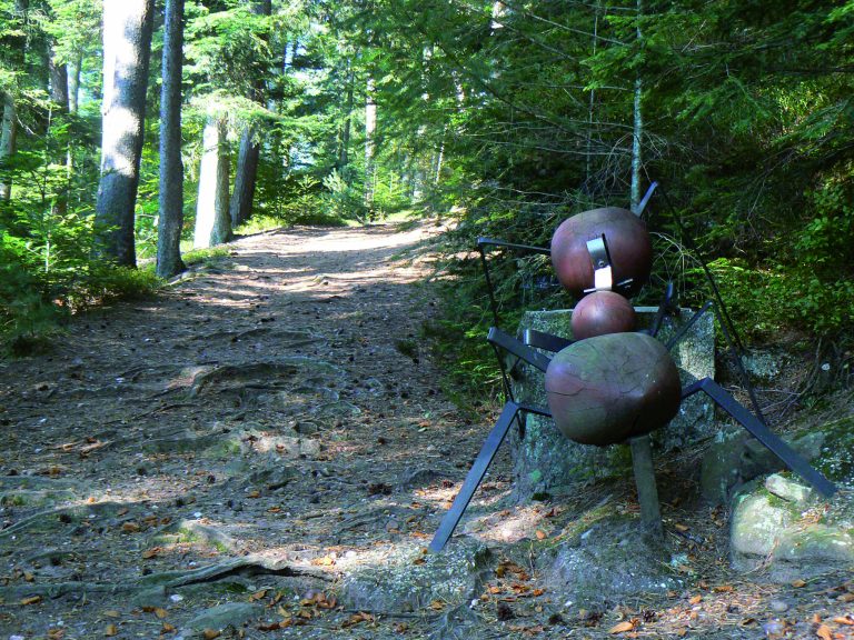 circuit des fourmis