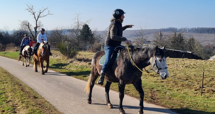 Balade à cheval et découverte des paysages vosgiens